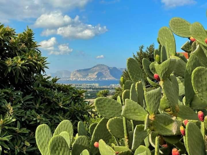 Il Siciliano Home Palermo Exteriör bild